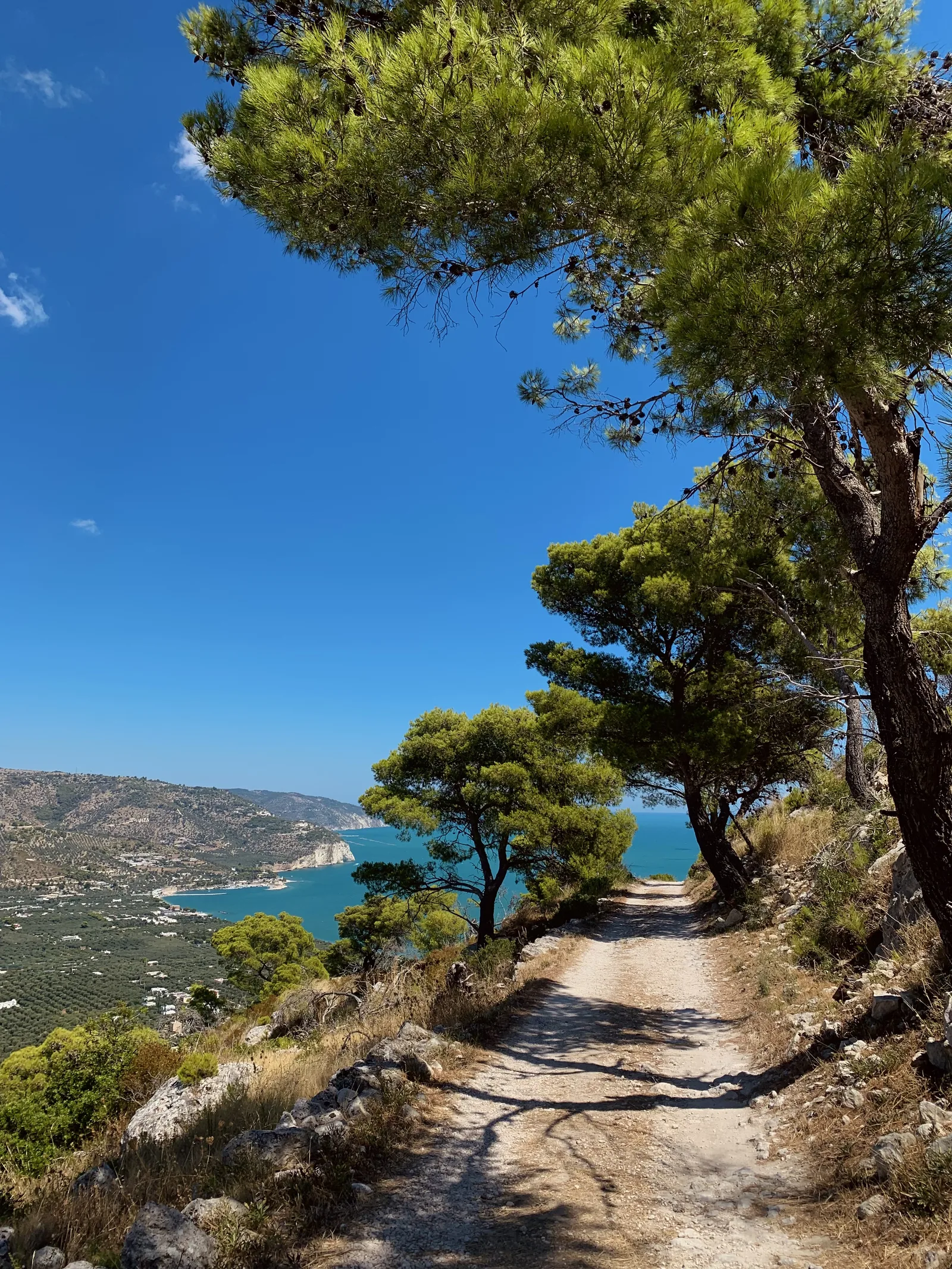 Sentiero sulla costa del Gargano